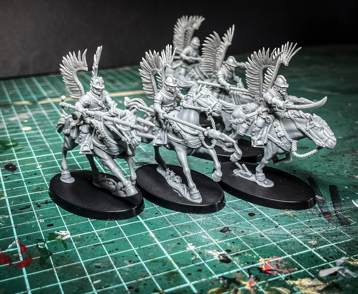 Winged Hussars Rough Rider Squad