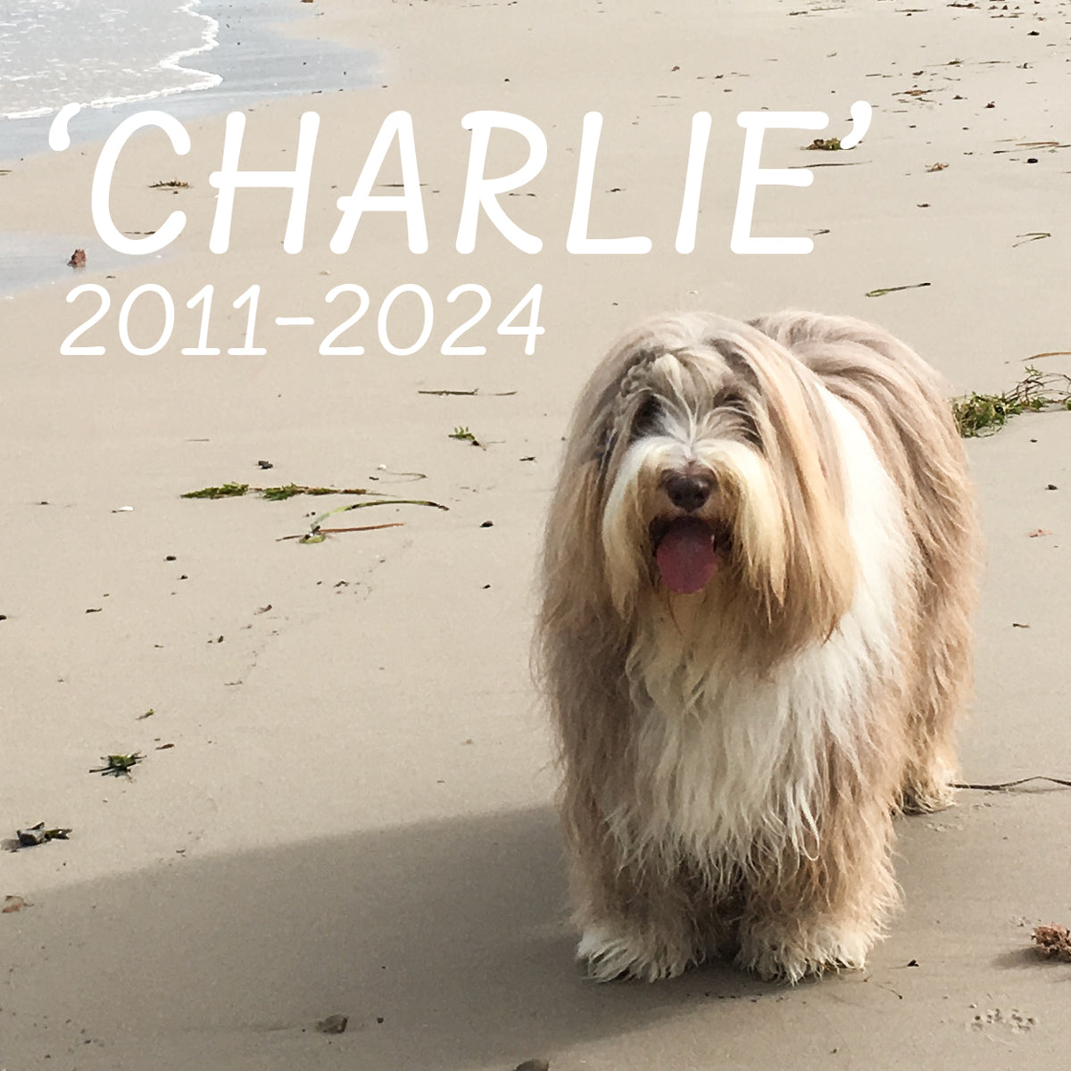 Charlie Square