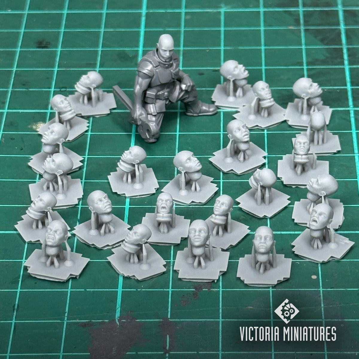 Bald Heads Female x12 .STL Download