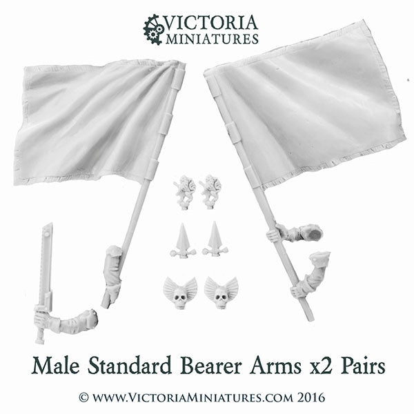 Male Standard Bearer Arms x2