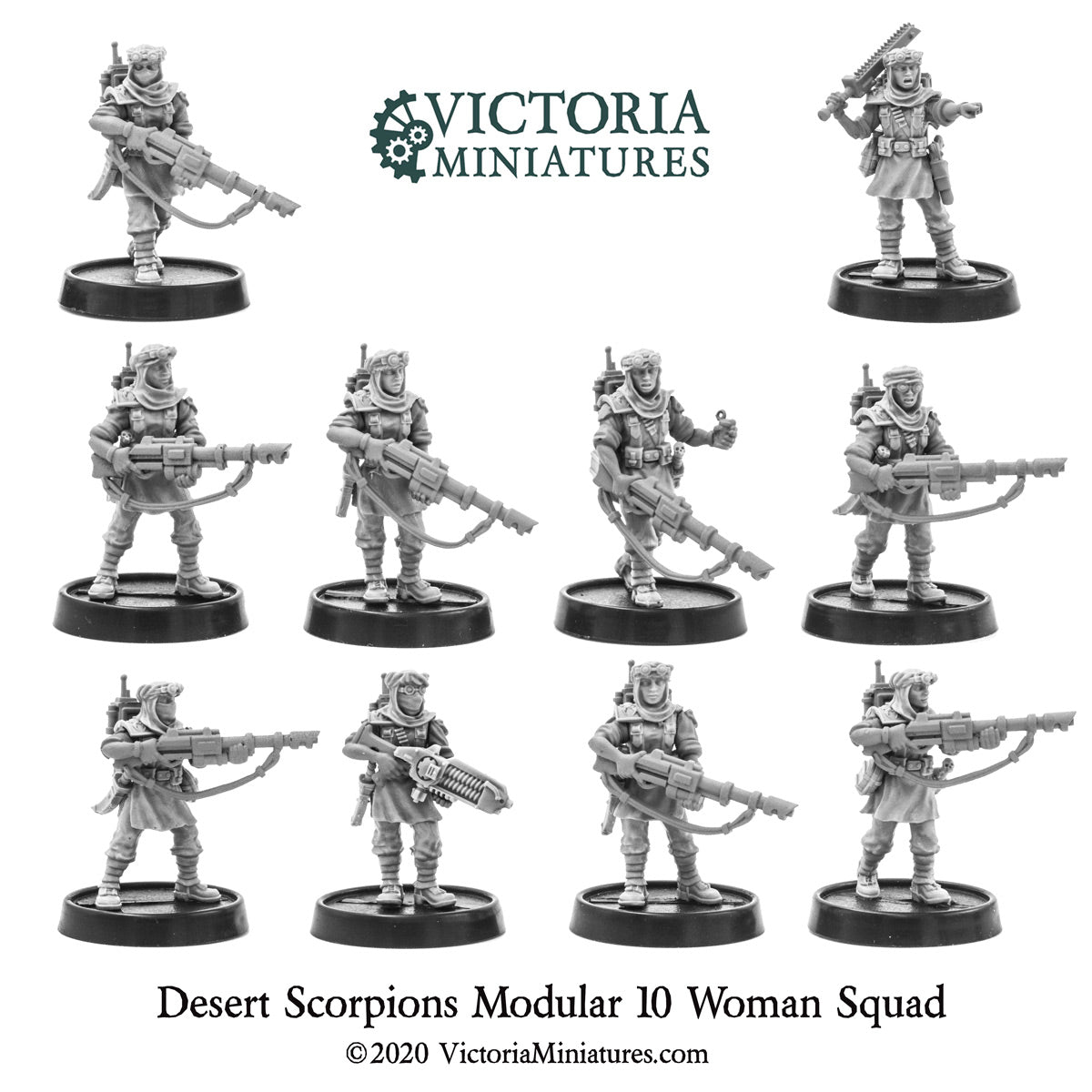 Female Desert Scorpions Now Shipping!