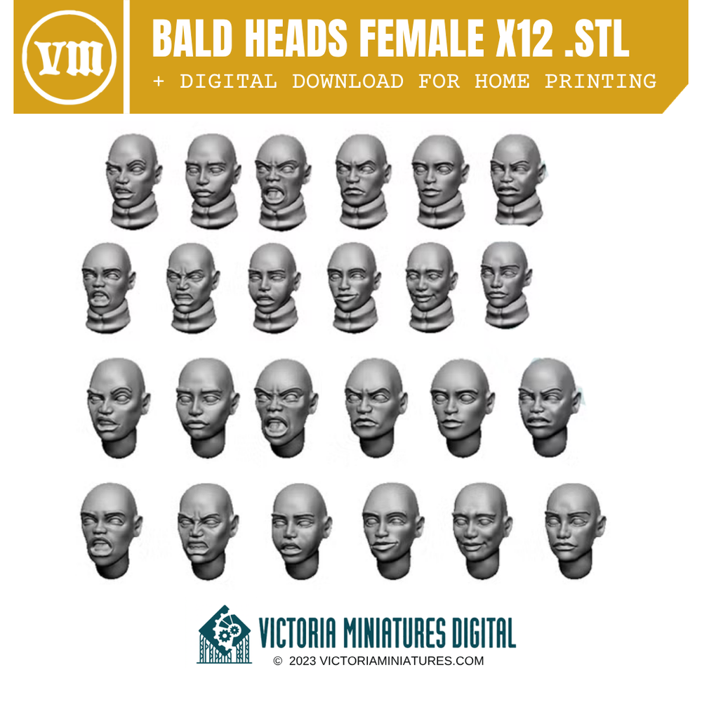 Bald Heads Female x12 .STL Download Victoria Miniatures