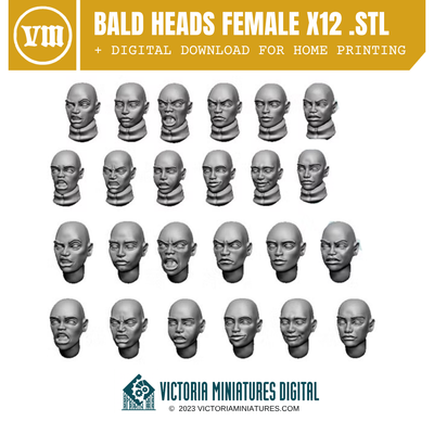 Bald Heads Female x12 .STL Download Victoria Miniatures