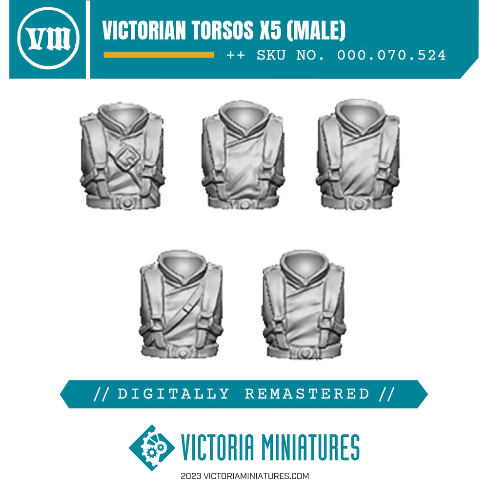 Victorian Torsos x5 (male)