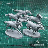Bare Horses x5