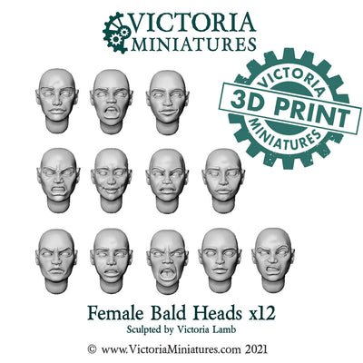 Bald Female Heads x12