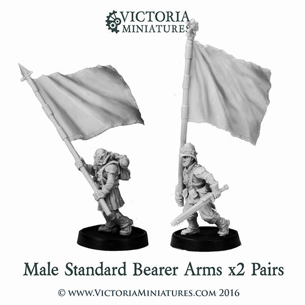 Male Standard Bearer Arms x2